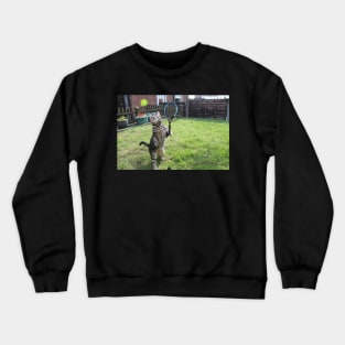 Anticipation Crewneck Sweatshirt